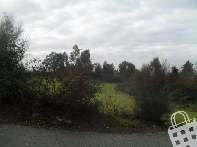 Terreno para Venda em Serzedelo Foto 7