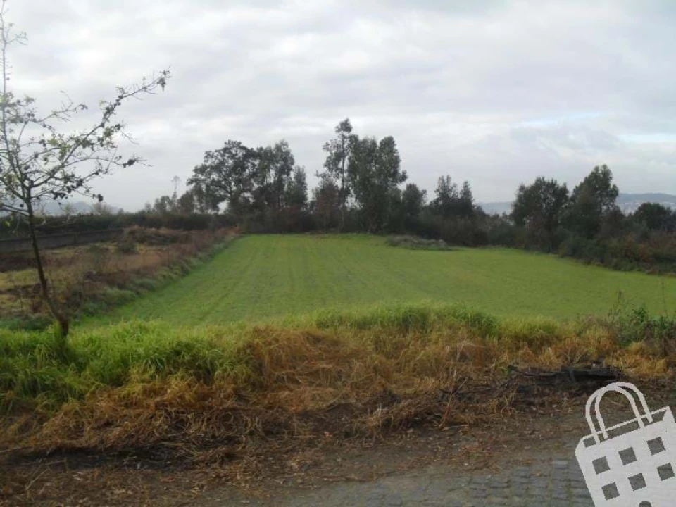 Terreno para Venda em Serzedelo Foto 4