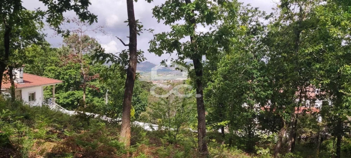Terreno para Venda em Cepães e Fareja Foto 5