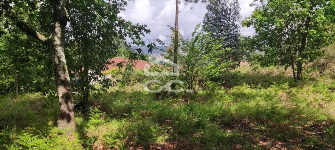 Terreno para Venda em Cepães e Fareja Foto 2