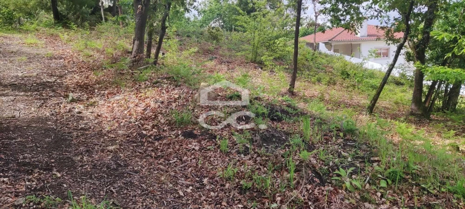 Terreno para Venda em Cepães e Fareja Foto 6