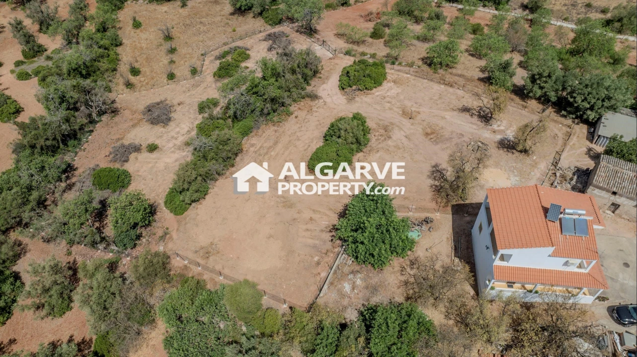 Terreno para Venda em Loule (São Sebastião) Foto 5