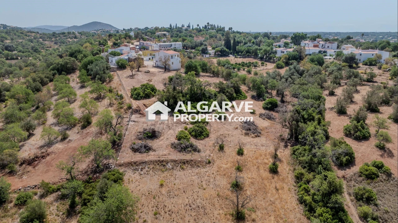 Terreno para Venda em Loule (São Sebastião) Foto 4