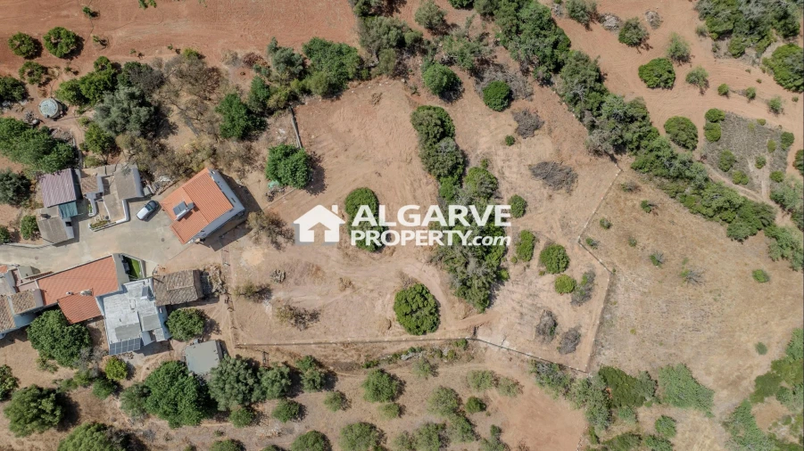 Terreno para Venda em Loule (São Sebastião) Foto 3