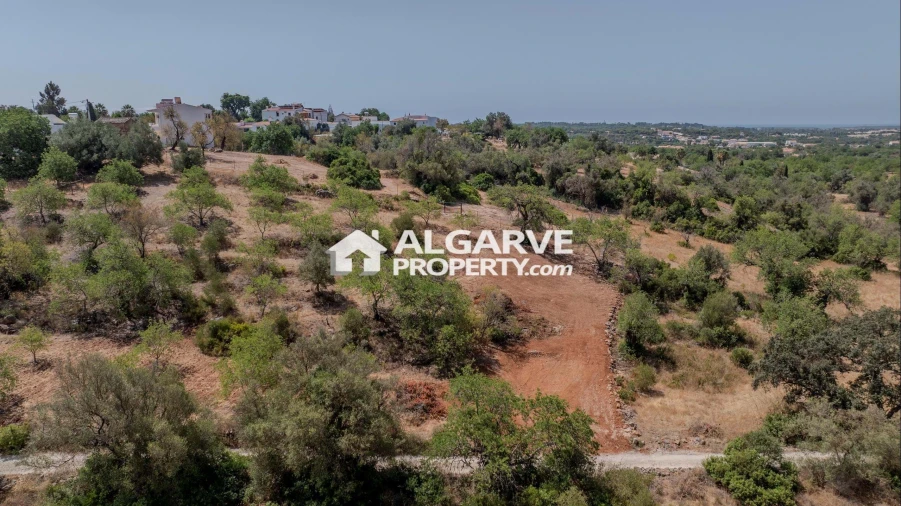 Terreno para Venda em Loule (São Sebastião) Foto 7