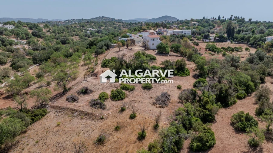 Terreno para Venda em Loule (São Sebastião) Foto 11