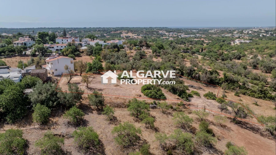 Terreno para Venda em Loule (São Sebastião) Foto 2