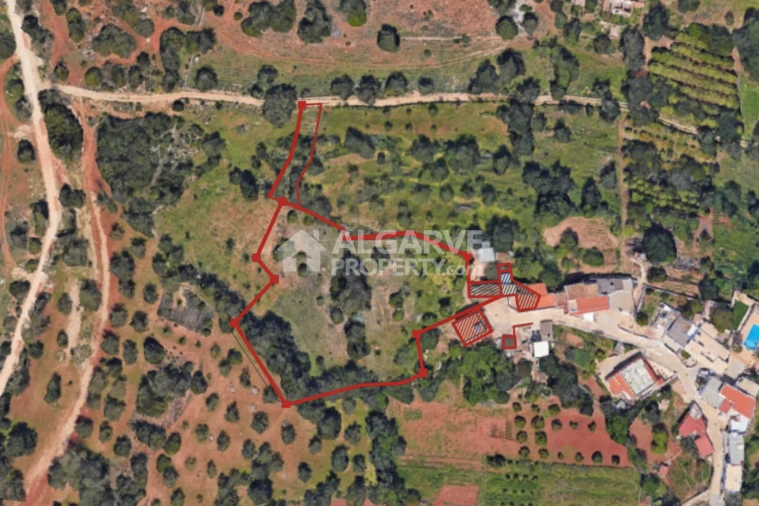 Terreno para Venda em Loule (São Sebastião) Foto 23
