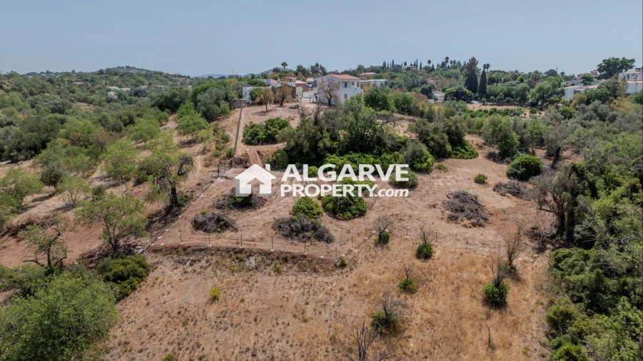 Terreno para Venda em Loule (São Sebastião) Foto 16