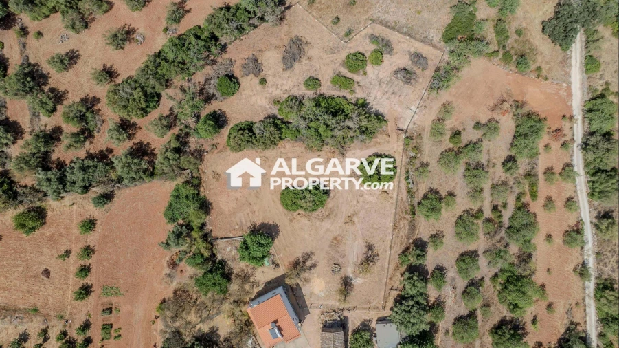 Terreno para Venda em Loule (São Sebastião) Foto 8