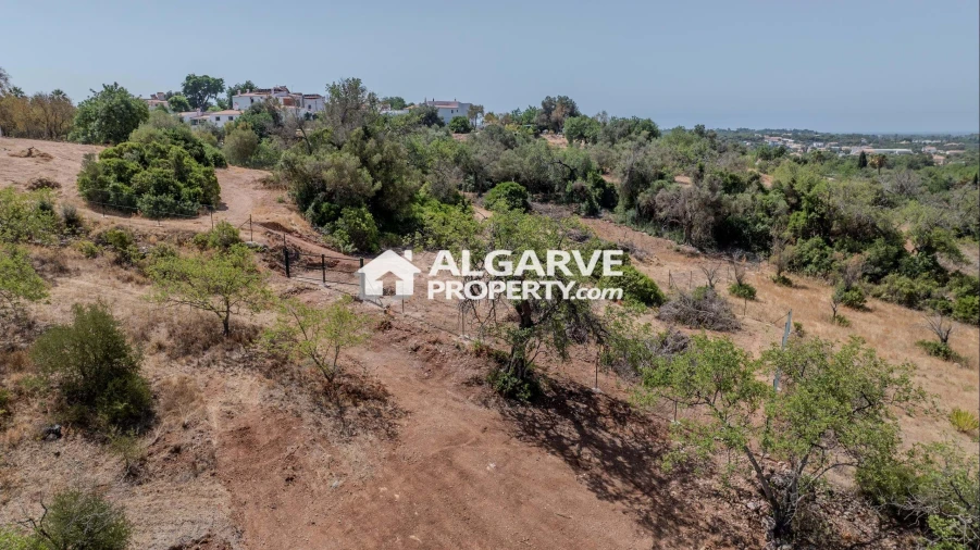 Terreno para Venda em Loule (São Sebastião) Foto 17