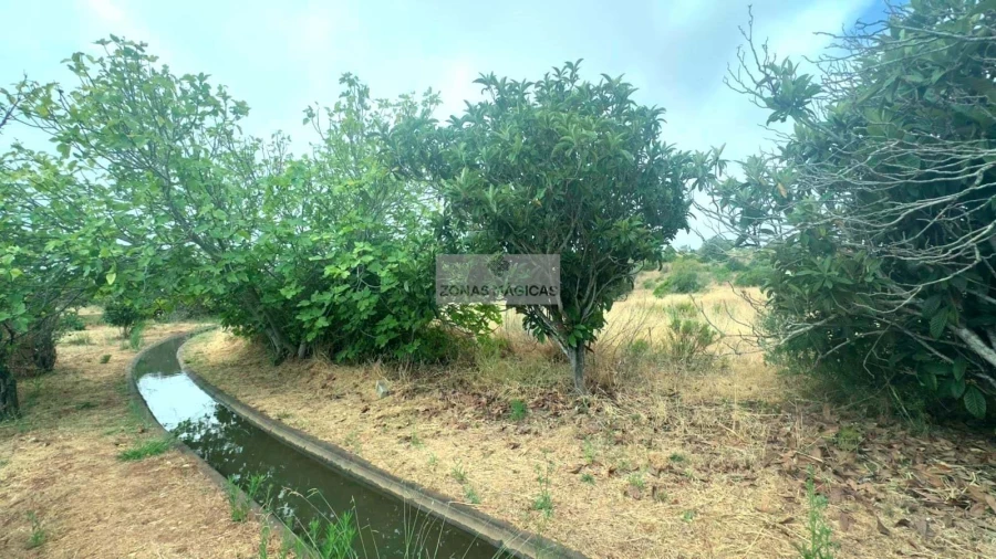Terreno para Venda em Odiaxere