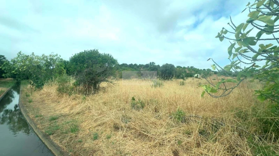Terreno para Venda em Odiaxere Foto 2
