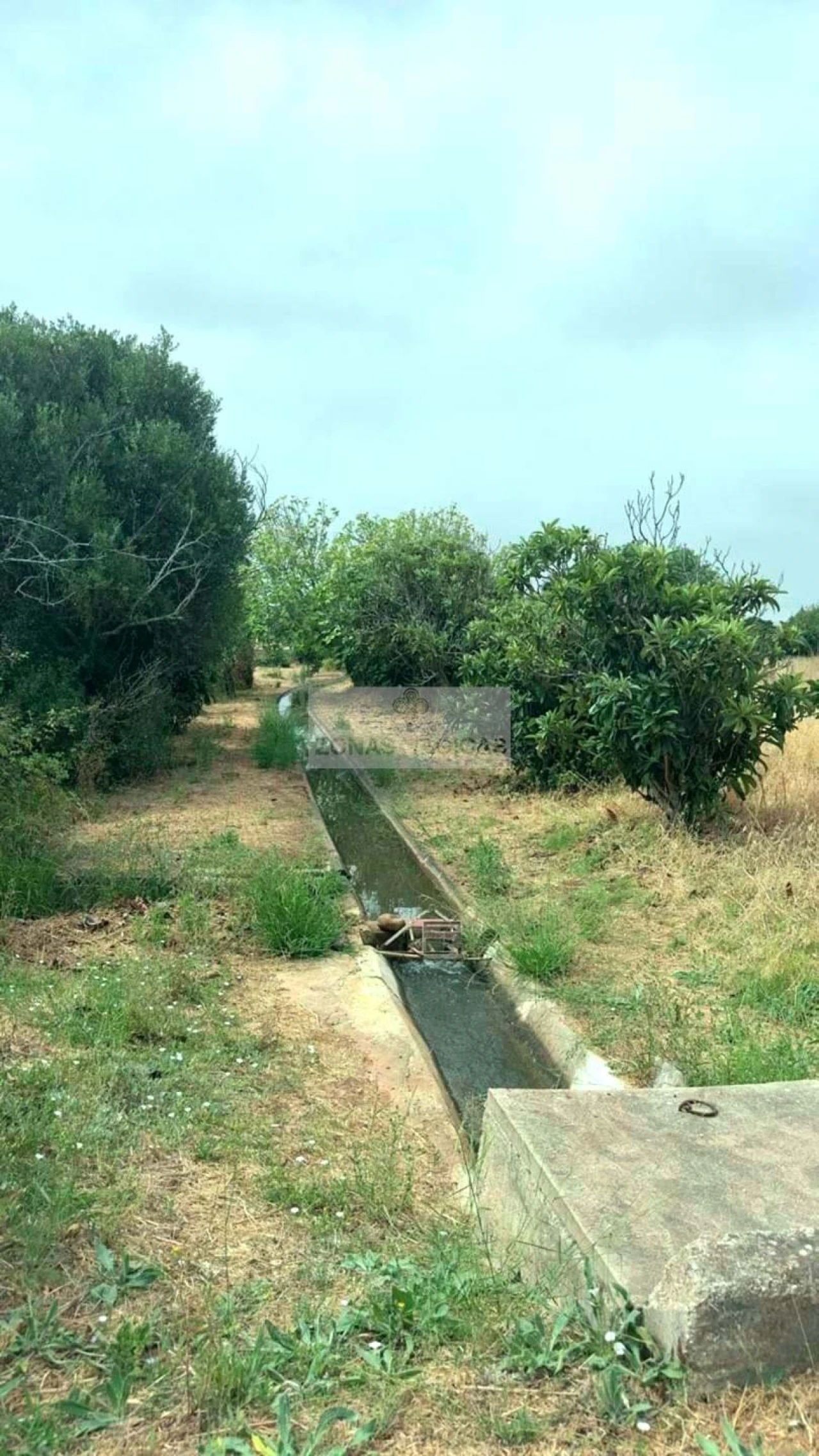 Terreno para Venda em Odiaxere Foto 5