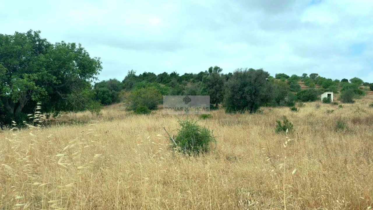 Terreno para Venda em Odiaxere Foto 3