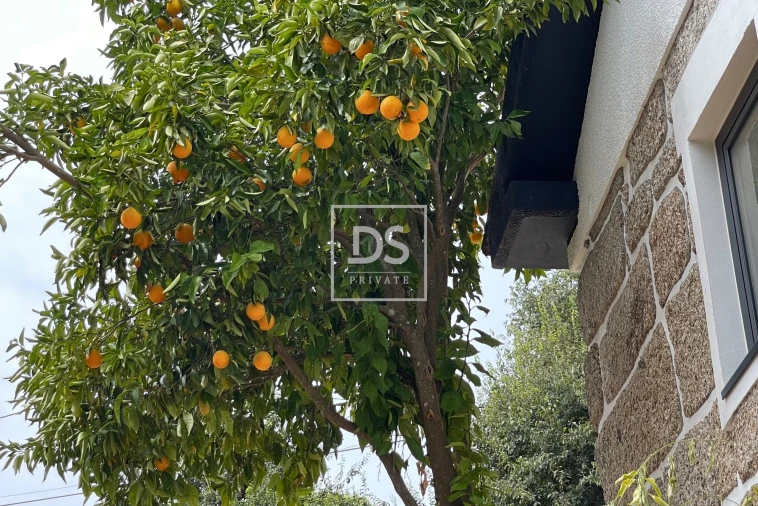 Quinta T3 para Venda em Várzea, Aliviada e Folhada Foto 21