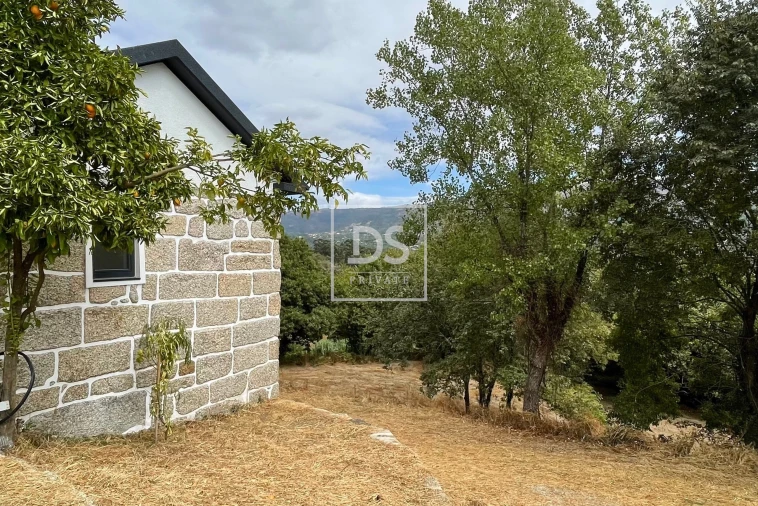 Quinta T3 para Venda em Várzea, Aliviada e Folhada Foto 15