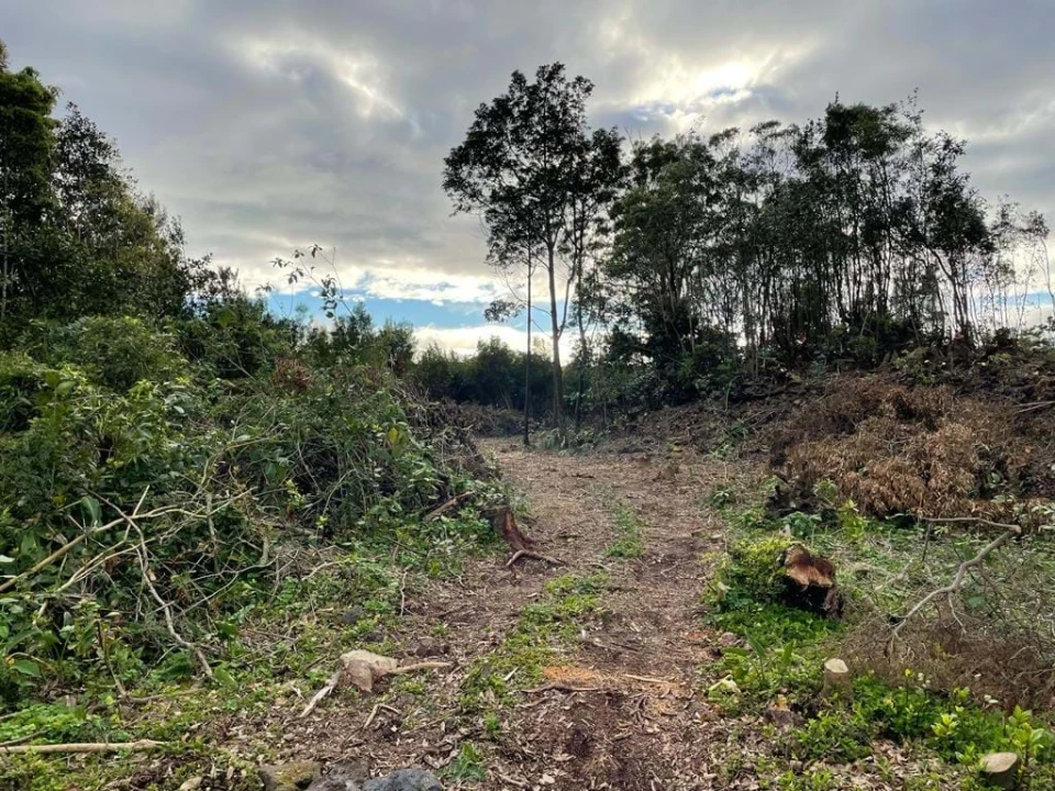 Terreno para Venda em Lagoa (Nossa Senhora do Rosario) Foto 7