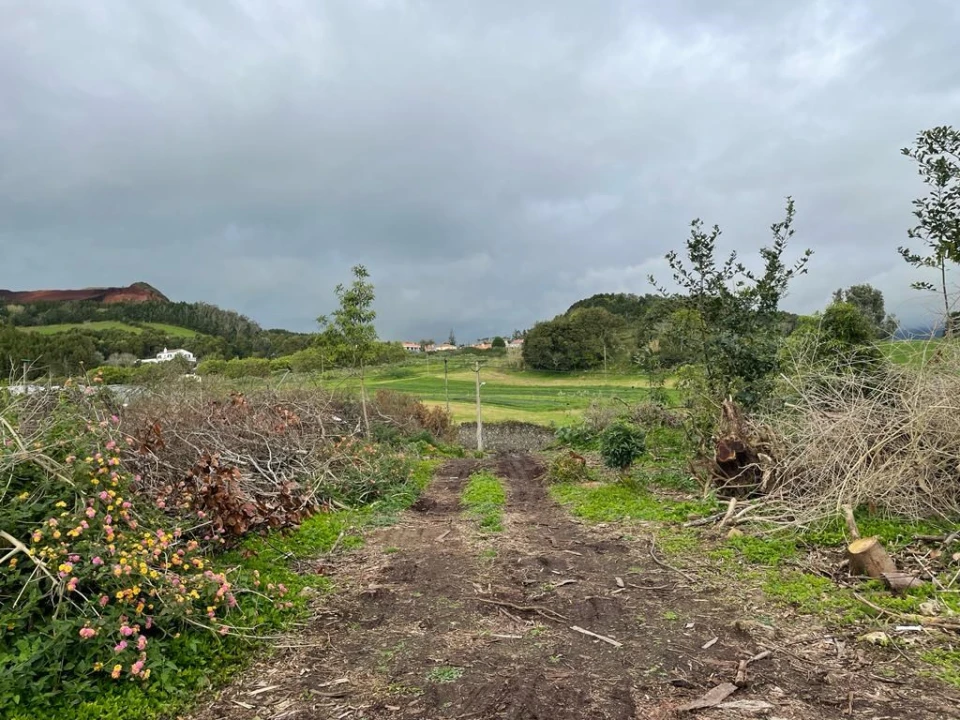 Terreno para Venda em Lagoa (Nossa Senhora do Rosario) Foto 8