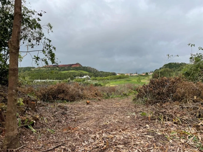 Terreno para Venda em Lagoa (Nossa Senhora do Rosario) Foto 9