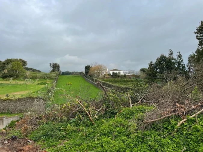 Terreno para Venda em Lagoa (Nossa Senhora do Rosario) Foto 4