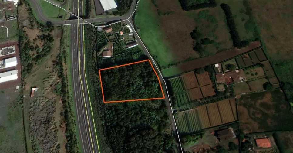 Terreno para Venda em Lagoa (Nossa Senhora do Rosario) Foto 3