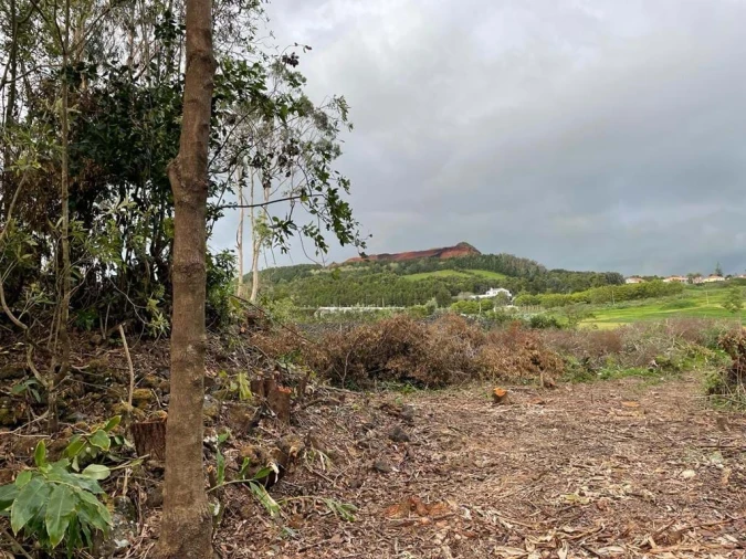 Terreno para Venda em Lagoa (Nossa Senhora do Rosario) Foto 11
