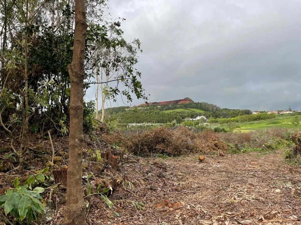 Terreno para Venda em Lagoa (Nossa Senhora do Rosario) Foto 11