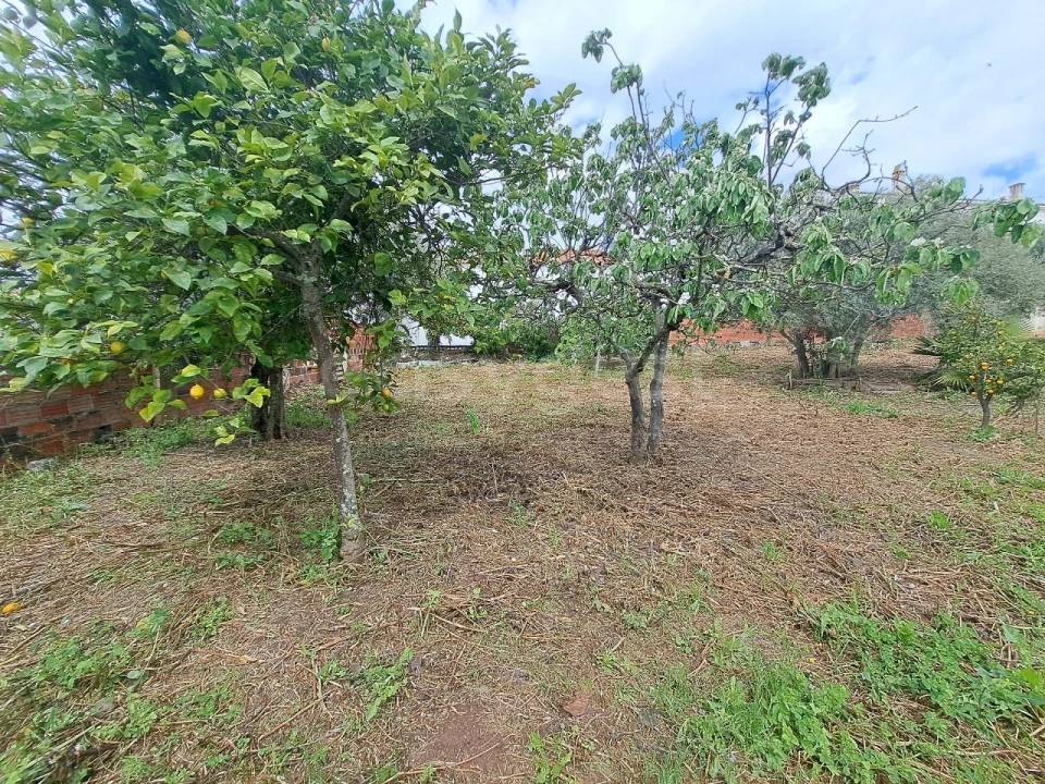 Negócio para Venda em Ourique Foto 10
