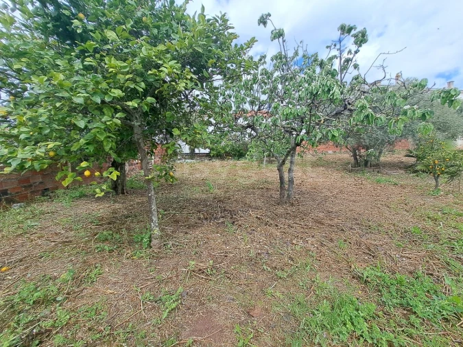 Negócio para Venda em Ourique Foto 10