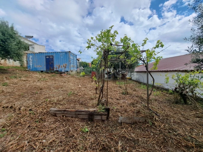 Negócio para Venda em Ourique Foto 11