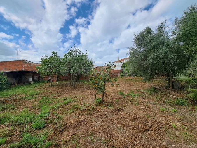 Negócio para Venda em Ourique Foto 12
