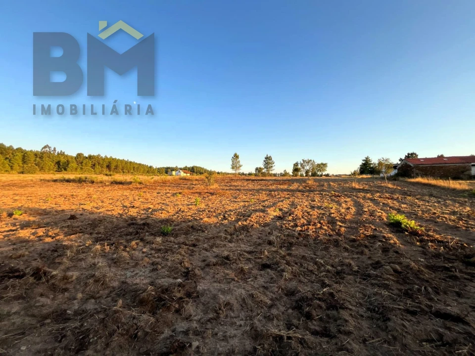 Terreno Agricola ou Rústico para Venda em Freixial e Juncal do Campo Foto 10