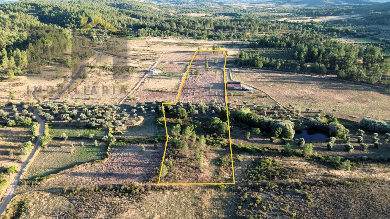 Terreno Agricola ou Rústico para Venda em Freixial e Juncal do Campo Foto 2
