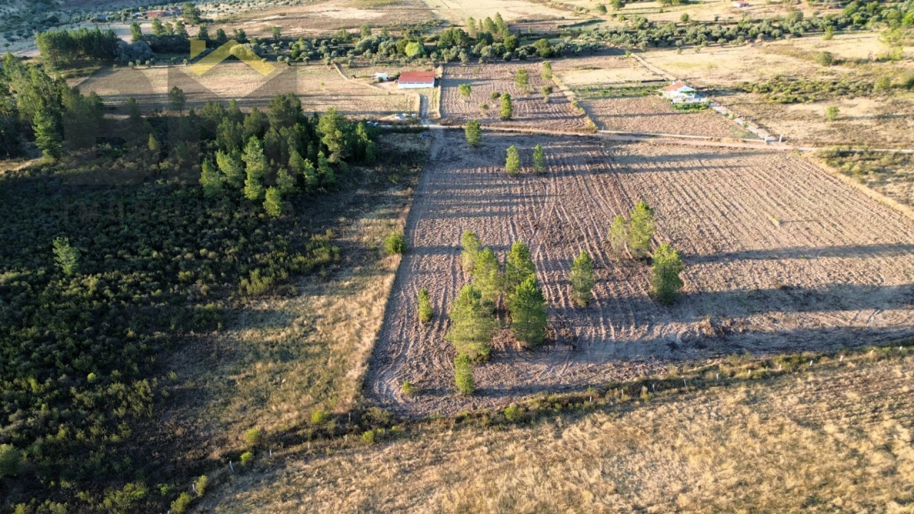 Terreno Agricola ou Rústico para Venda em Freixial e Juncal do Campo Foto 3
