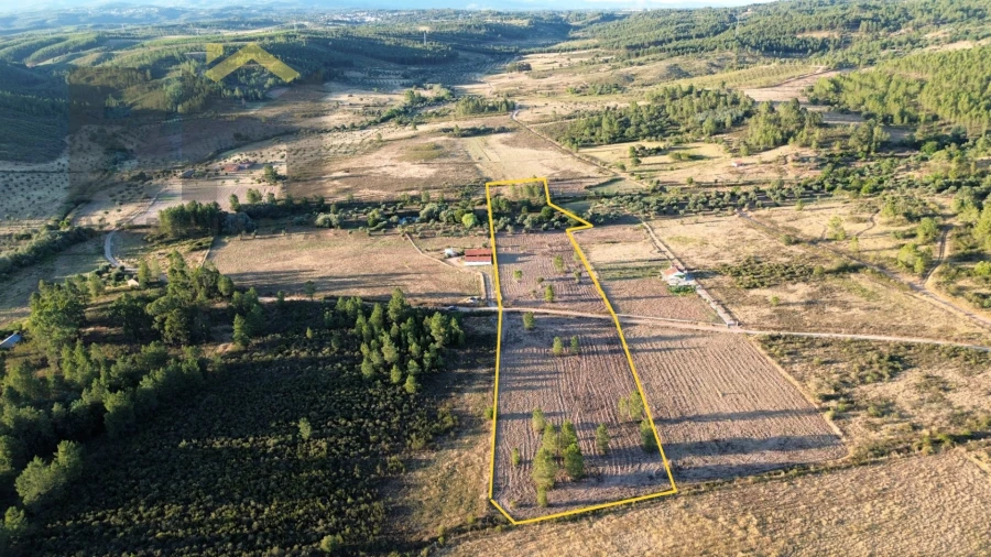 Terreno Agricola ou Rústico para Venda em Freixial e Juncal do Campo