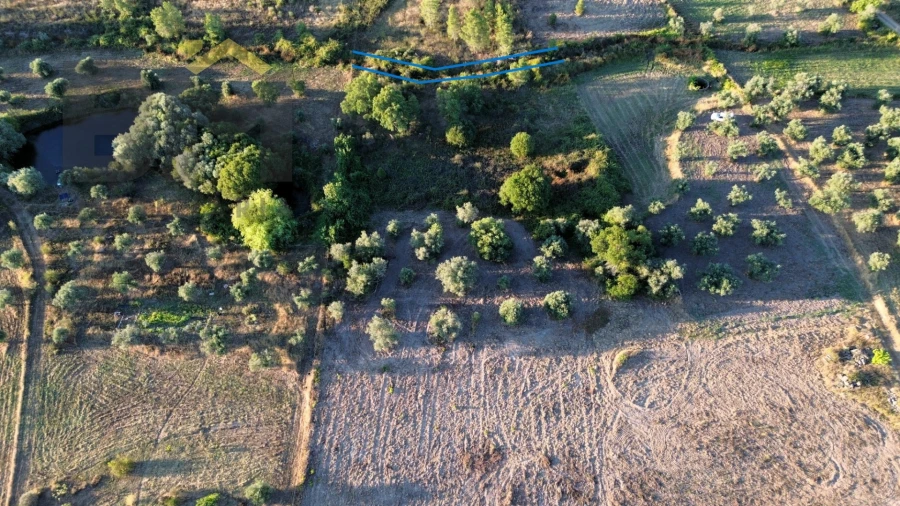 Terreno Agricola ou Rústico para Venda em Freixial e Juncal do Campo Foto 6