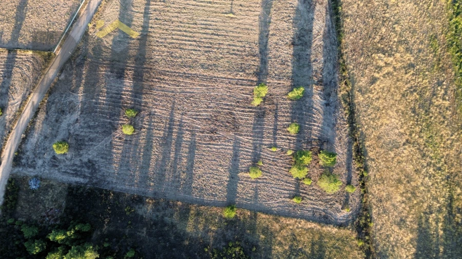 Terreno Agricola ou Rústico para Venda em Freixial e Juncal do Campo Foto 4