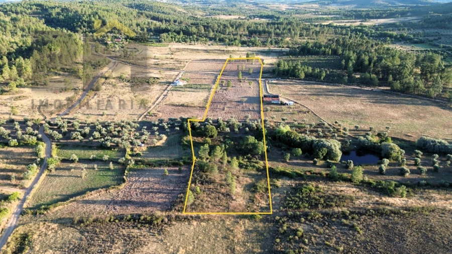 Terreno Agricola ou Rústico para Venda em Freixial e Juncal do Campo Foto 2