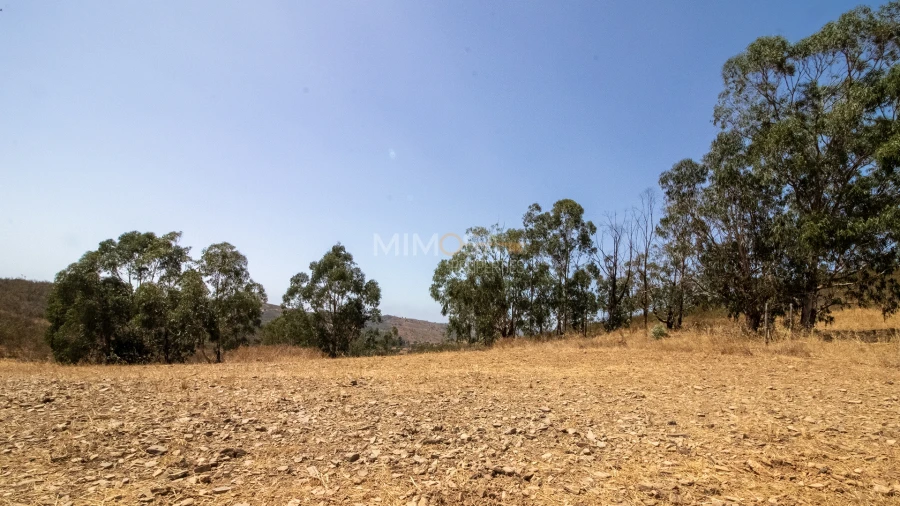 Terreno para Venda em Bensafrim e Barão de São João Foto 13