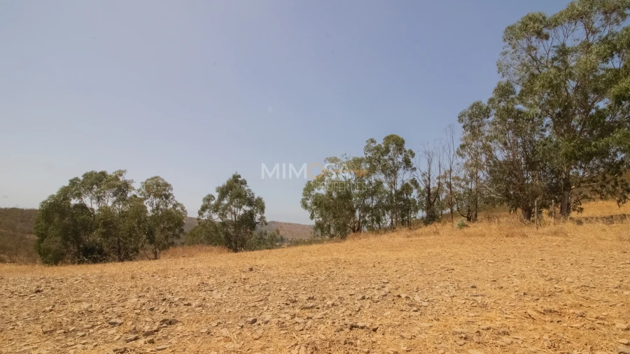 Terreno para Venda em Bensafrim e Barão de São João Foto 12