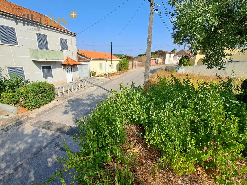 Terreno para Venda em Serra e Junceira Foto 3