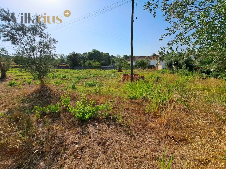 Terreno para Venda em Serra e Junceira Foto 23
