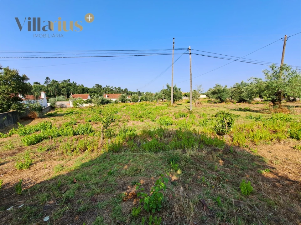 Terreno para Venda em Serra e Junceira Foto 21