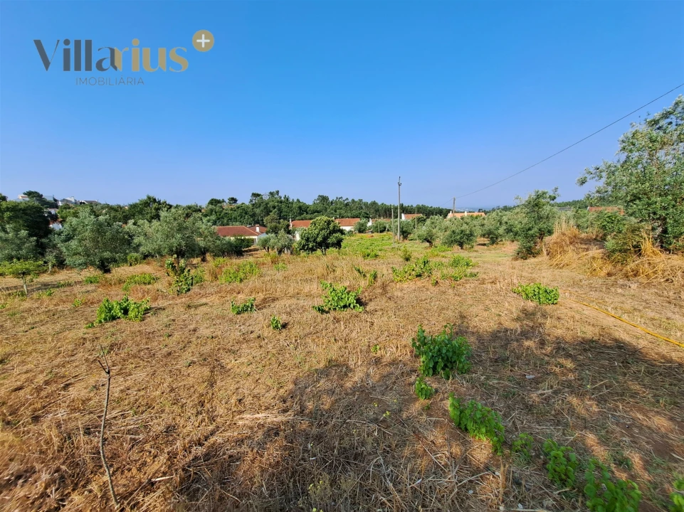Terreno para Venda em Serra e Junceira Foto 17