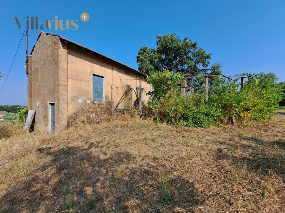 Terreno para Venda em Serra e Junceira Foto 14