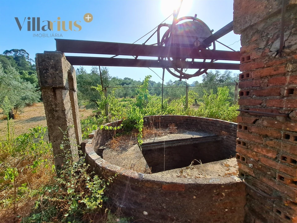Terreno para Venda em Serra e Junceira Foto 13