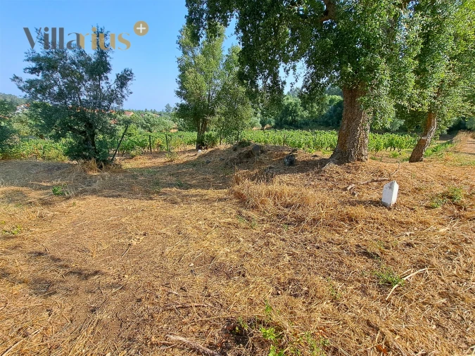 Terreno para Venda em Serra e Junceira Foto 12