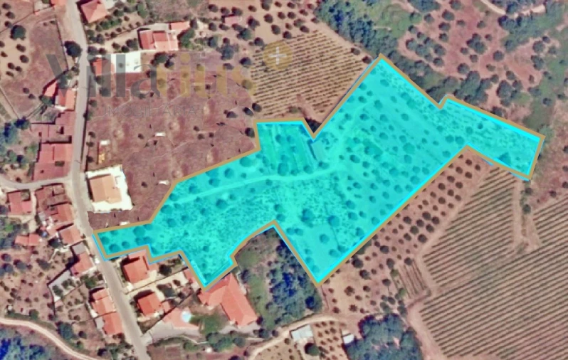 Terreno para Venda em Serra e Junceira Foto 29