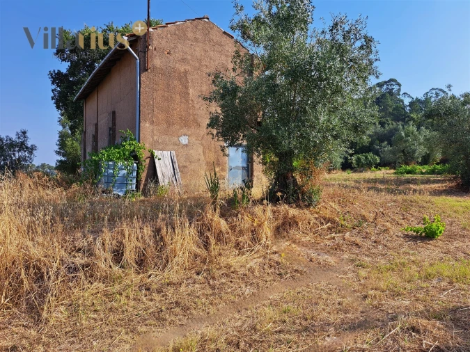 Terreno para Venda em Serra e Junceira Foto 15